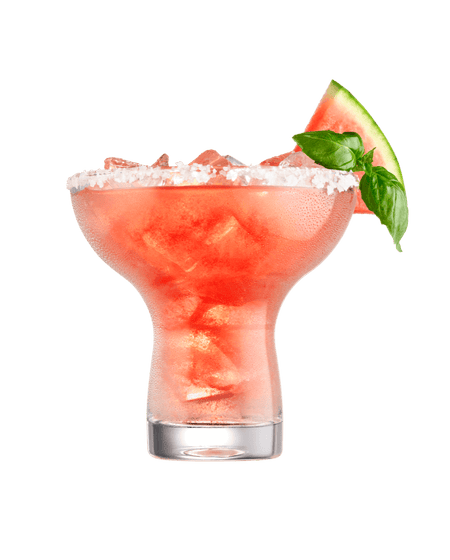 MONARCH MARGARITA